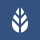 MoreApp Formulieren icon