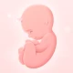 Ma grossesse icon