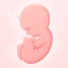 私の妊娠生活：週ごとの妊娠記録 icon