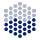 NetDania Stock & Forex Trader icon