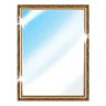 Phone Mirror app - True Mirror icon