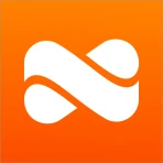 Classic Netspend icon