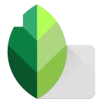 Snapseed icon