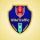 VNeTraffic icon
