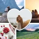 Photo Editor: Collage Maker icon