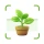 Identification des plantes icon