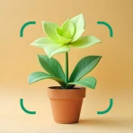 花の名前を調べる: しょくぶつ図鑑 - 樹木判別 icon