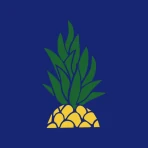 Pokawa – Poke bowl delivery icon
