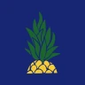 Pokawa – Poke bowl delivery icon