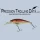 Precision Trolling Data icon