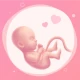 Ma Suivie de Grossesse. icon