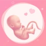 Ma Suivie de Grossesse. icon