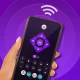 Roku Remote Control & TV Cast icon