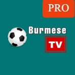 Burmese TV Pro icon