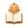 Baby journal icon