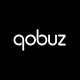 Qobuz: Musica e editoriali icon