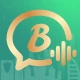 Bota - Voice Chat Party icon