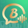 Bota - Voice Chat Party icon