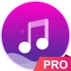 Music player - pro version icon