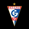 Bilety Górnik Zabrze icon