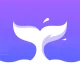 Rocnovel icon
