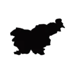 RUN-CHICKEN icon