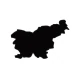 RUN-CHICKEN icon