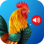 Animal Ringtones icon