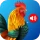 Animal Ringtones icon