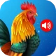 Animal Ringtones icon