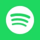 Spotify Lite icon