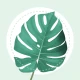 PlantMe - Plant identification icon