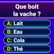 Miljonair 2026: offline trivia icon
