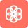 Synology Photos icon