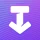 Any Video Downloader | SSSTik icon