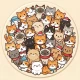 Find The Cat - Spot It! icon