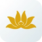 Vietnam Airlines icon