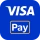 Visa Pay icon