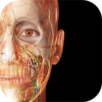 Visible Body Suite icon