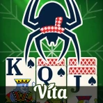 Vita Spider Solitaire icon