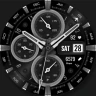 WFP 308 Business watch face icon