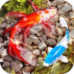 3D Fish Tank Live Wallpaper icon