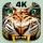 Roaring Tiger Live Wallpaper icon