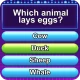 Trivia Crush icon