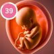 Suivi de grossesse et bébé icon
