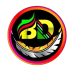 BD NET VPN icon