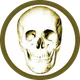 Anatomie Quiz Pro