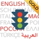 Führerschein 2026 GOLD icon