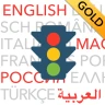 Führerschein 2026 GOLD icon