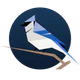 BirdNET Live